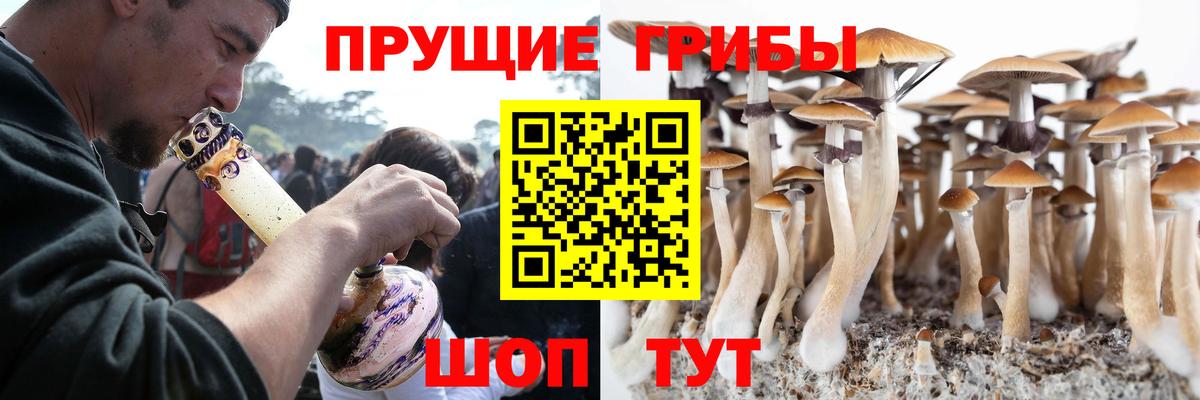 Галлюциногенные грибы Psilocybine cubensis Фурманов