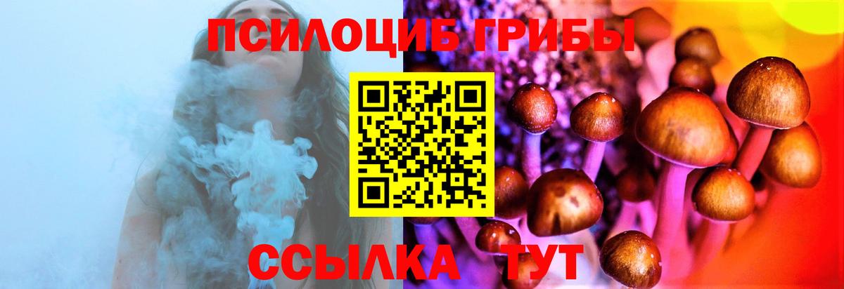 Фурманов  Галлюциногенные грибы прущие грибы  Вход с VPN 